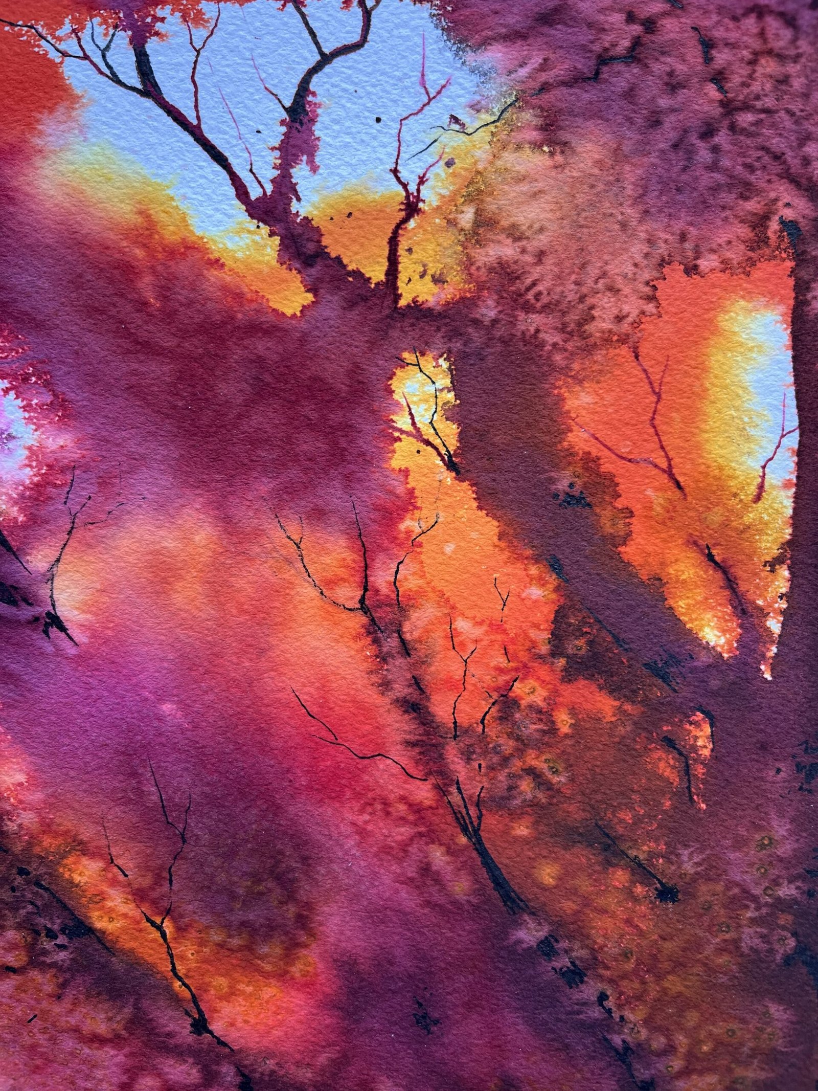 Feuerbaum – Bild 5
