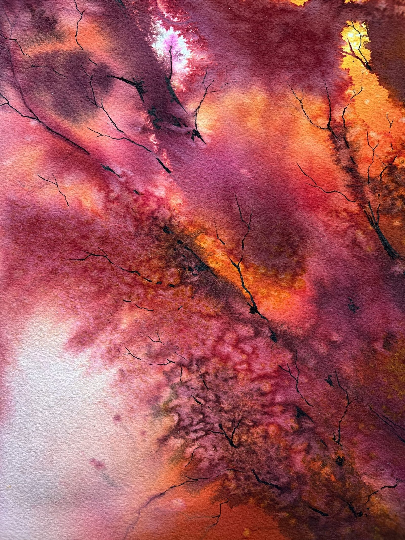 Feuerbaum – Bild 6