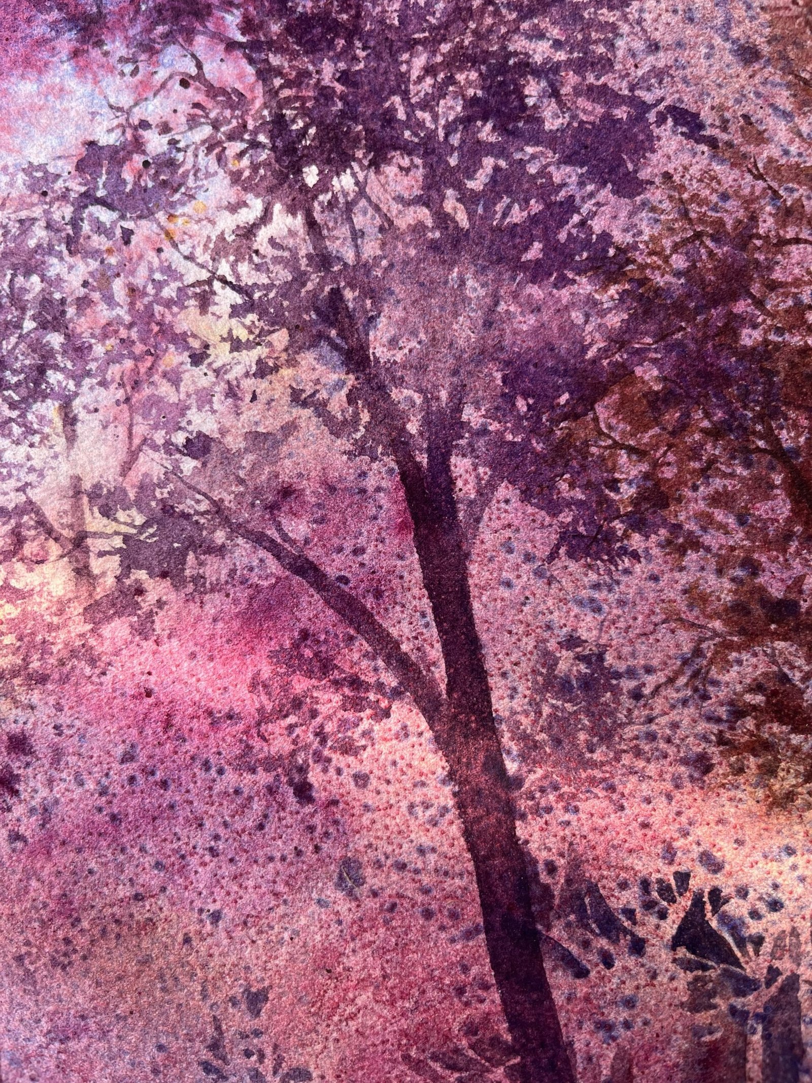 Lost Morning – Bild 8