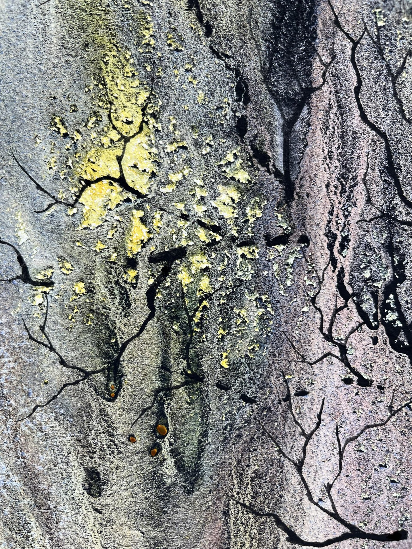 Yellowblack Tree – Bild 2