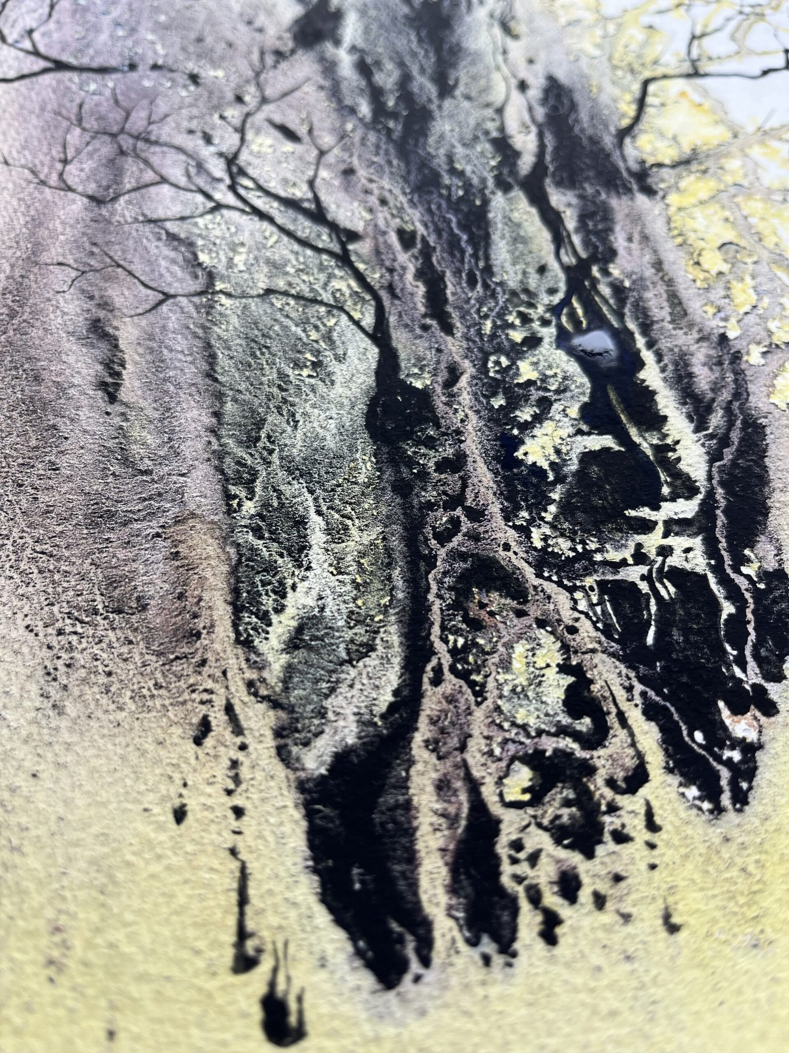 Yellowblack Tree – Bild 3