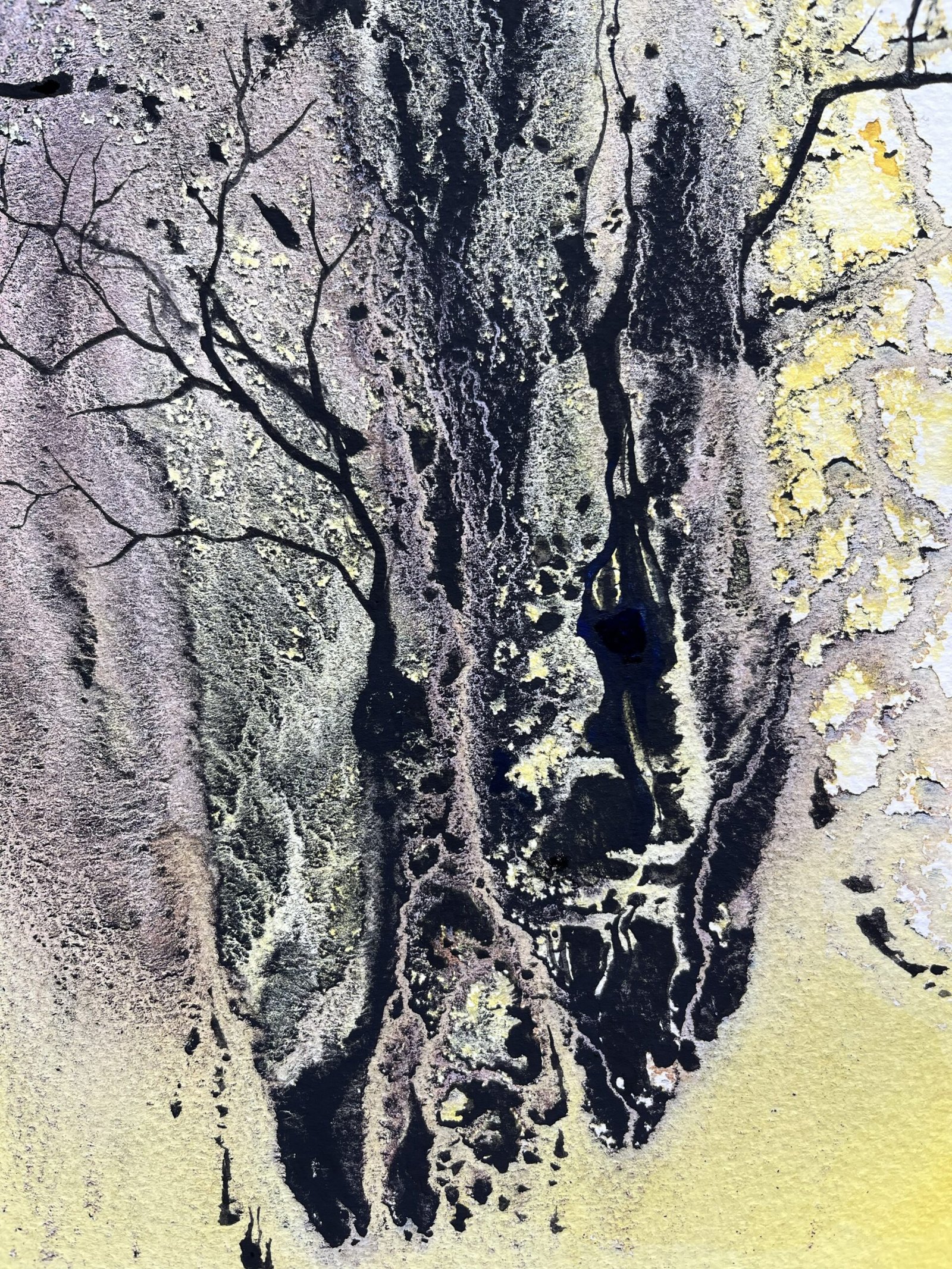 Yellowblack Tree – Bild 4