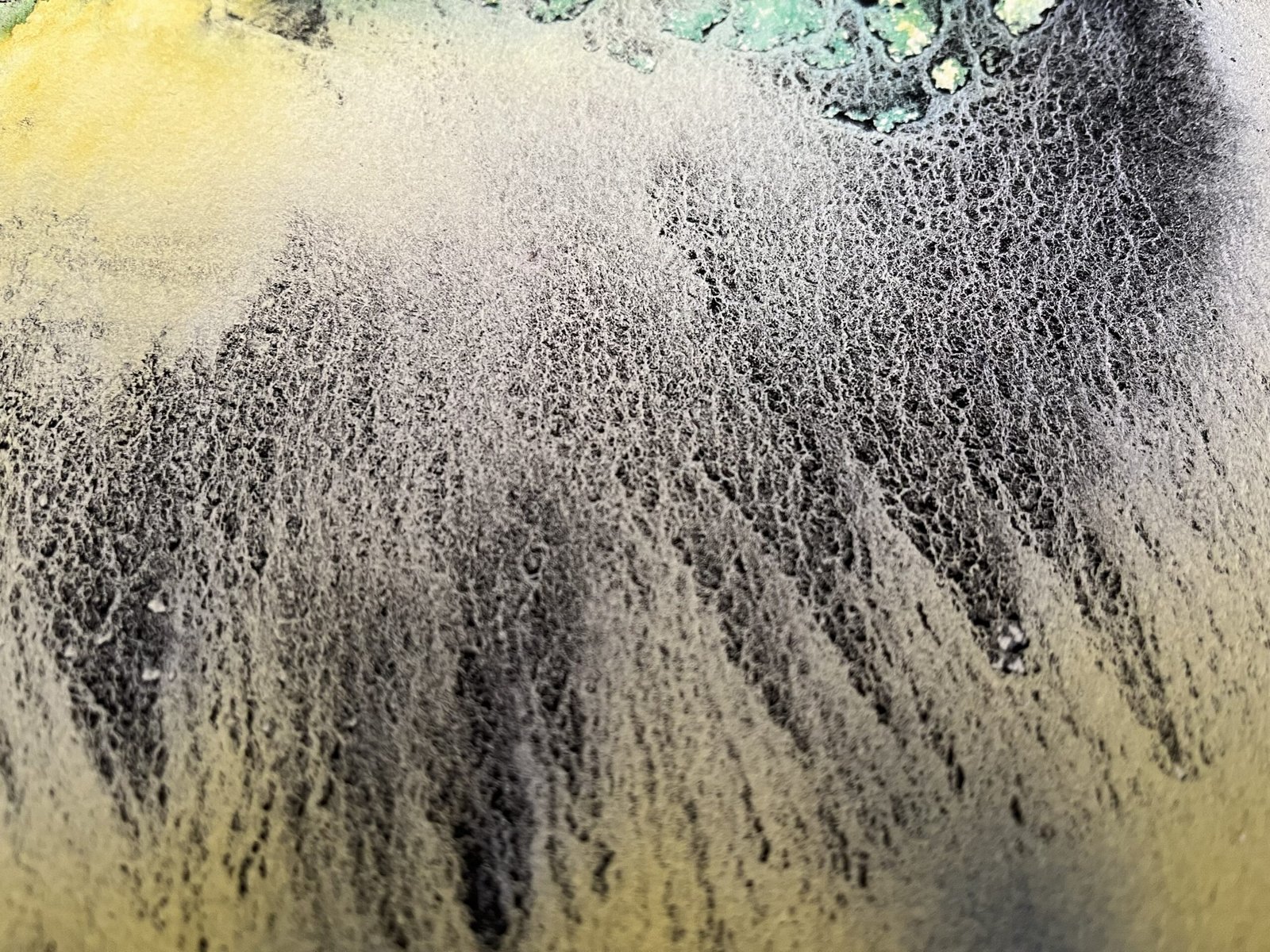 Yellowgreen Black Tree – Bild 9